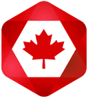 Ancile Logo
